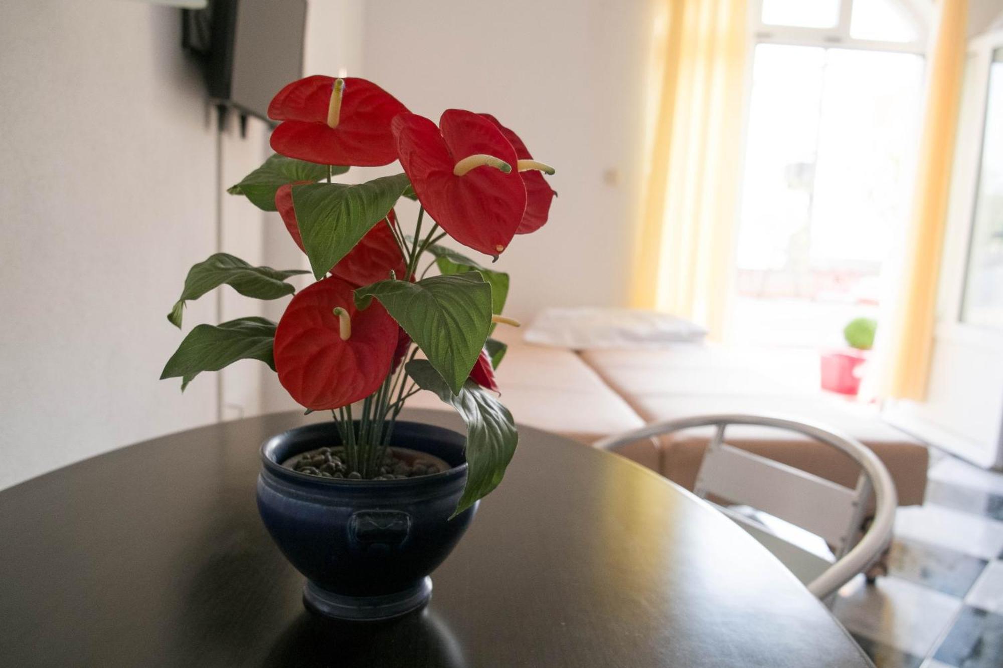 Apartments Damjanovic มาคาร์สกา ห้อง รูปภาพ
